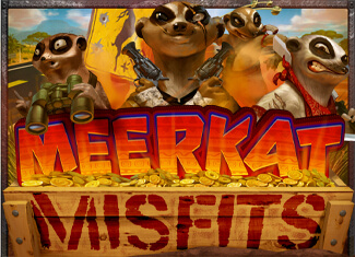 Meerkat Misfits